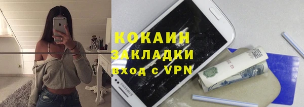 гидра Абаза