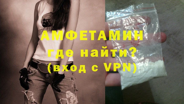 гидра Абаза
