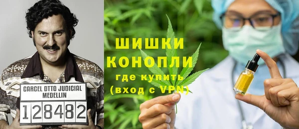 шишки Медногорск