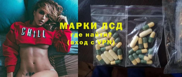 шишки Медногорск