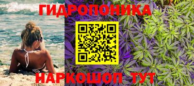 a pvp Усть-Илимск