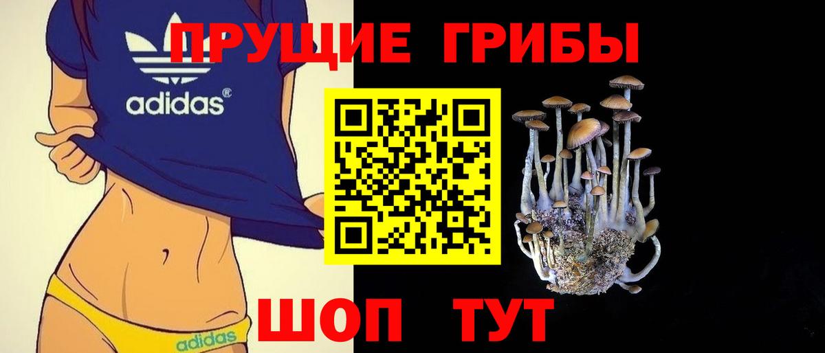 Оренбург  Галлюциногенные грибы мухоморы  Вход с VPN  Галлюциногенные грибы ЛСД 